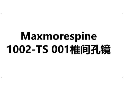 Maxmorespine 1002-TS 001椎间孔镜