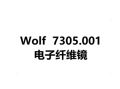 Wolf  7305.001 电子纤维镜