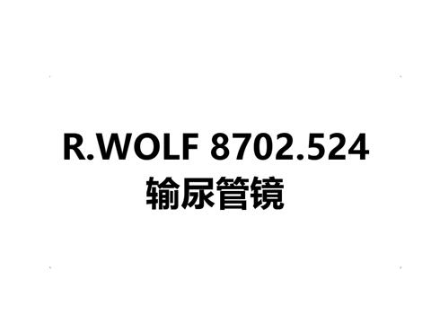 R.WOLF 8702.524输尿管镜