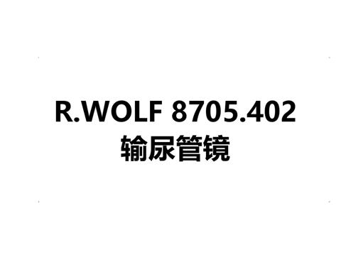 R.WOLF 8705.402输尿管镜