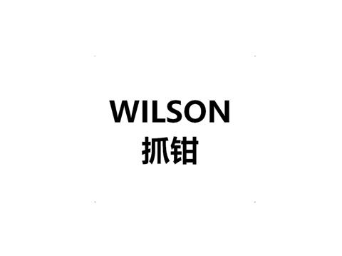 WILSON 抓钳
